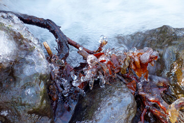 Beautiful icicles on a frozen mountain stream