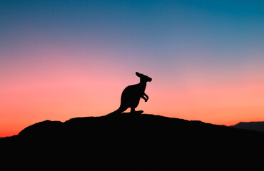 Kangaroo sunset