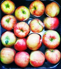 Apples
