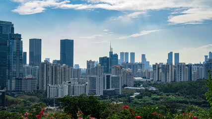 Overlooking the center of Shenzhen