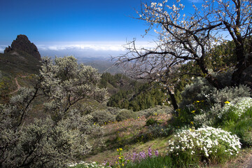 Amazing landscape of Gran Canaria near the Caldera de Los Marteles, Canary Islands, Spain