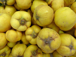 Quinces