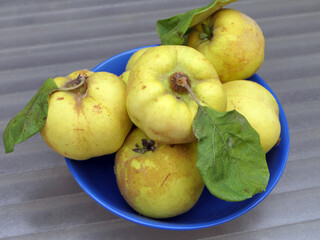 Quinces