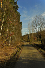 
Asphalt Road In Early Spring