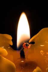 closeup of a burning candle.  burning wick close up