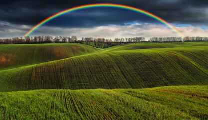 Fototapeta premium Scenic view of rainbow over green field. dramatic gray sky over a picturesque hilly field 