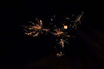 The sparkling fireworks "Senko-HANABI" are a traditional Japanese summer pastime.
