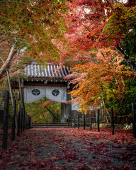 japanese temple in autumn