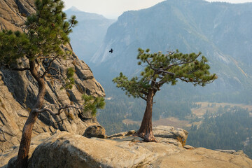 Yosemite National Park