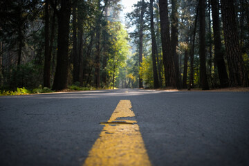 Yosemite National Park