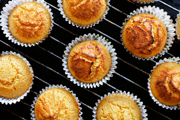 Corn muffins. Fresh from the oven. View from the top