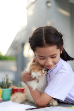 Portrait of a Little Asian girl in Thai student uniform is hugging her Persian cat with happiness, select focus shallow depth of field