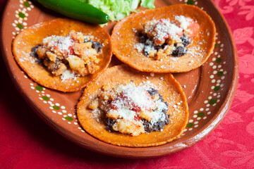 Enchiladas rioverdenses. Platillo típico de Rioverde, San Luis Potosí, México