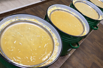soaked chopped cabbage in bowls, close view 