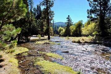 Manzanita Creek in Lassen Volcanic National Park with the sun reflecting off the water. Braided river near Manzanita Lake Campground. Clear-water stream in overgrown, marshy meadow with mountain view.