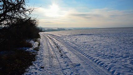 Morning landscape with snow covered winter field and field road, naked apple tree with apples in tree lane on the left. Tracks of various vehicles are visible. 