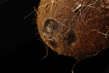A whole coconut on a black background. The light was dim.