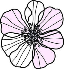 Fototapeta premium pink and white flower