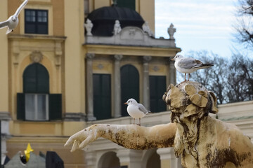 銅像にとまる鳥