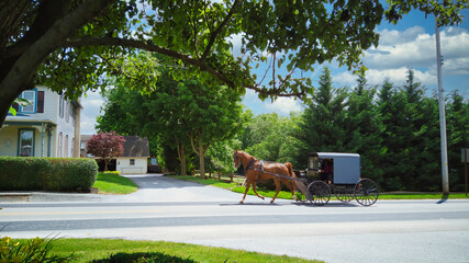 An Amish Horse and Buggy Traveling along a Countryside Road on a Beautiful Summer Day