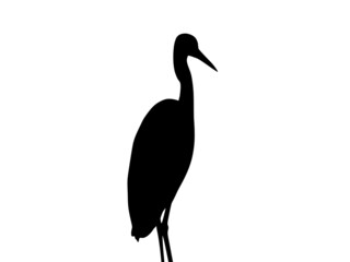 Black wild bird silhouette illustration. 
