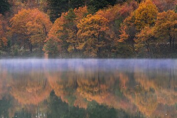 水辺の晩秋の頃