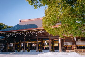 東京、明治神宮の拝殿
