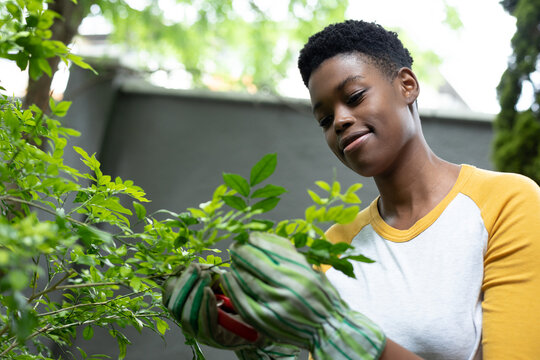 African american woman wearing gardening gloves touching plants in the garden