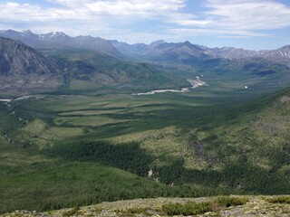 Naklejka premium landscape with mountains