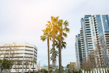 Daytime skyline view of downtown Santa Ana, California, USA.