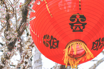 赤い飾り red lantern 
