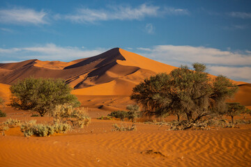 Fototapeta na wymiar Sand dunes in Namib Naukluft National Park in Namibia