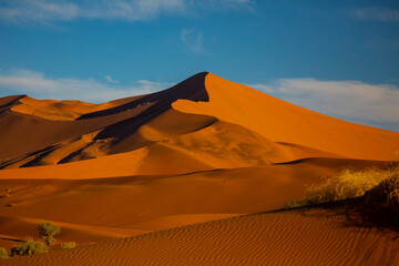 Fototapeta na wymiar Sand dunes in Namib Naukluft National Park in Namibia