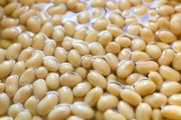 大豆の水煮