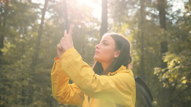 Beautiful stylish girl walks in woods in yellow cloak and takes photos of nature for social networks on her smartphone.
