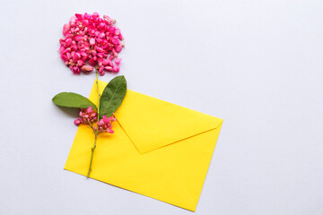 pwgchmpo pink flora local flower of asia thailand arrangement flat lay postcard style with yellow envelope on background white