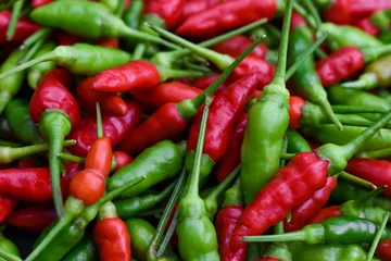 Fotobehang Chili Pepers Selective focus closeup of red and green chili pepper  © Jyo Workout/Wirestock