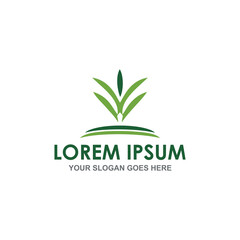 abstract lawn logo vector image