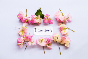i am sorry message card with pink flower bougainvillea arrangement flat lay style on background...