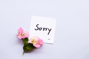  sorry message card with pink flower bougainvillea arrangement flat lay style on background white