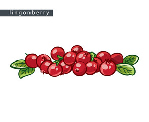 sketch_lingonberry_big_pile
