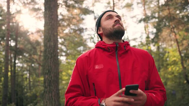 Handsome Caucasian man in hat walks in woods on sunny day enjoying nature and following route on offline map on smartphone .