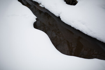 Stream in the winter forest.