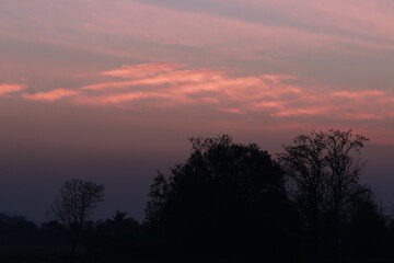 Fototapeta premium Close up Sunrise in the early morning