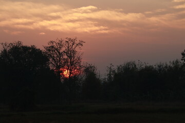 Close up Sunrise in the early morning