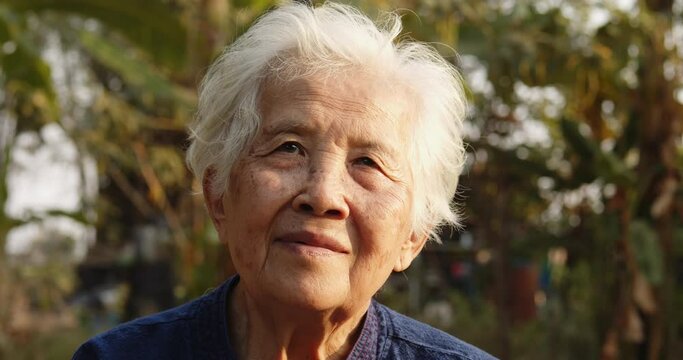 Slow motion close-up shot of the smiling elderly  Asian female farmer has bright white hair, wear weaving woven garment in the evening and the golden light shone to her at the countryside.