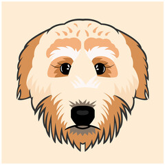 dog breed on isolated background, cartoon dog vector pet characters doggy illustration. Furry human friends home animals