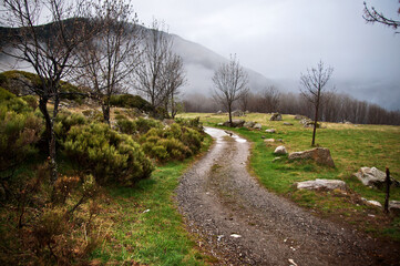Paisaje Alpino del Pirineo en el valle de Boi. Ruta de senderismo por la montaña