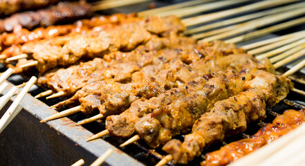 Chinese street barbecue kebab snacks