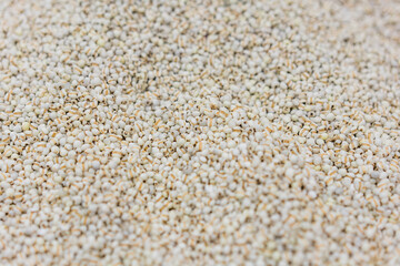 Legumes and grains in supermarkets